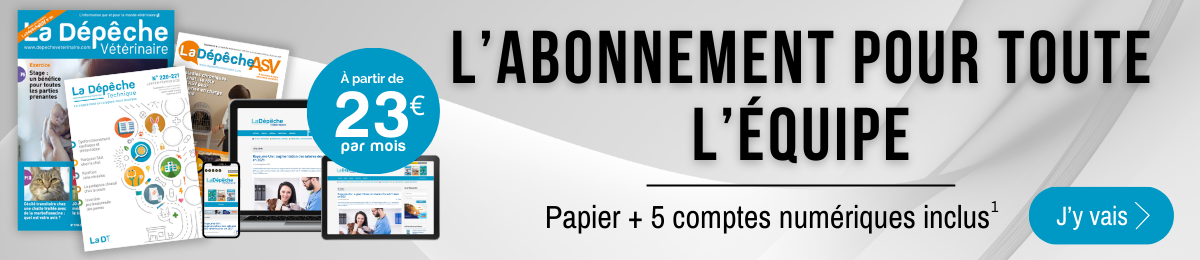 Bannière annuelle 2025-1