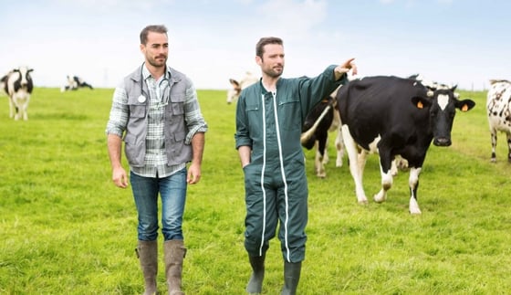 Forfaitisation : « une stratégie gagnant-gagnant avec l'éleveur »